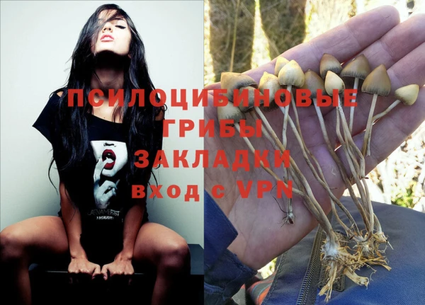 меф Балахна