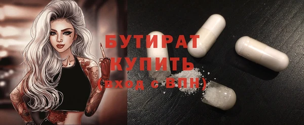 индика Приозерск